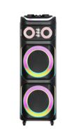 Haut-parleur d'extérieur USB OEM JBR-1231, 12 pouces, grand bouton, 80W, 100 aimants, basses+aigus, avec microphone sans fil à double charge pour DJ