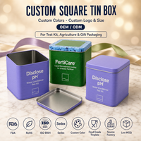 Boîte en fer blanc carrée personnalisée avec motif festonné pour kit de test, emballage cadeau agricole, logo personnalisé, OEM, ODM, faible MOQ