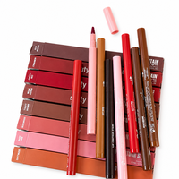 Ensemble de maquillage pour femmes : Rouge à lèvres mat, Crayon à lèvres Hu, Crayon à lèvres rouge, Crayon à lèvres rose 1ml