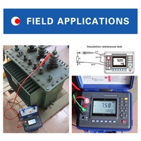 High Voltage Insulation Resistance Tester Digital Megohmmeter USB PC Connection Built-in Li Battery OEM