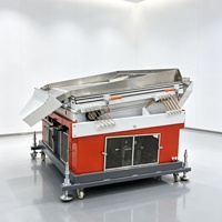 Máquina Despedradora por Gravedad para Limpieza de Semillas Industriales, Dispositivo Automático de Eliminación de Piedras de Granos para Línea de Procesamiento de Semillas