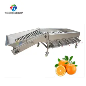 Máquina clasificadora de frutas, máquina clasificadora de cítricos de acero inoxidable, máquina clasificadora de cereza