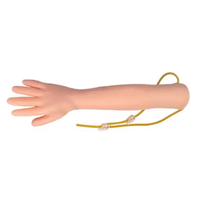 Bras d'entraînement pour mannequin, modèle de simulation humaine pour l'enseignement de la ponction intraveineuse et de l'infusion, destiné aux sciences médicales - Product Image 4