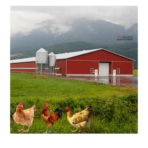 Professional design prefabricated chicken poultry farm house