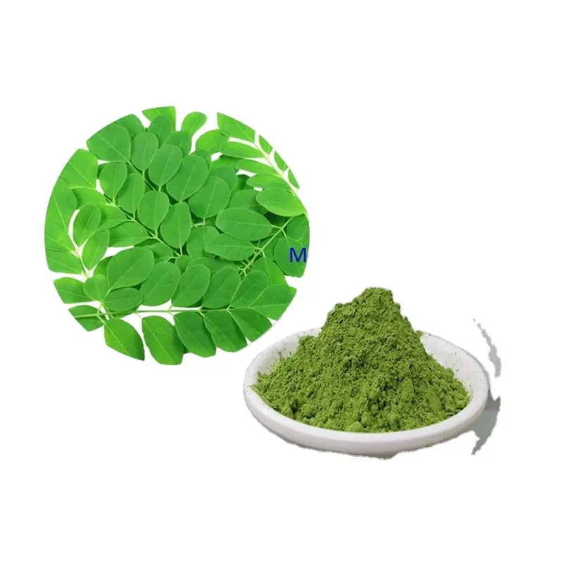 Longze Supply Puur Natuurlijke Moringa Poeder, Moringa Extract