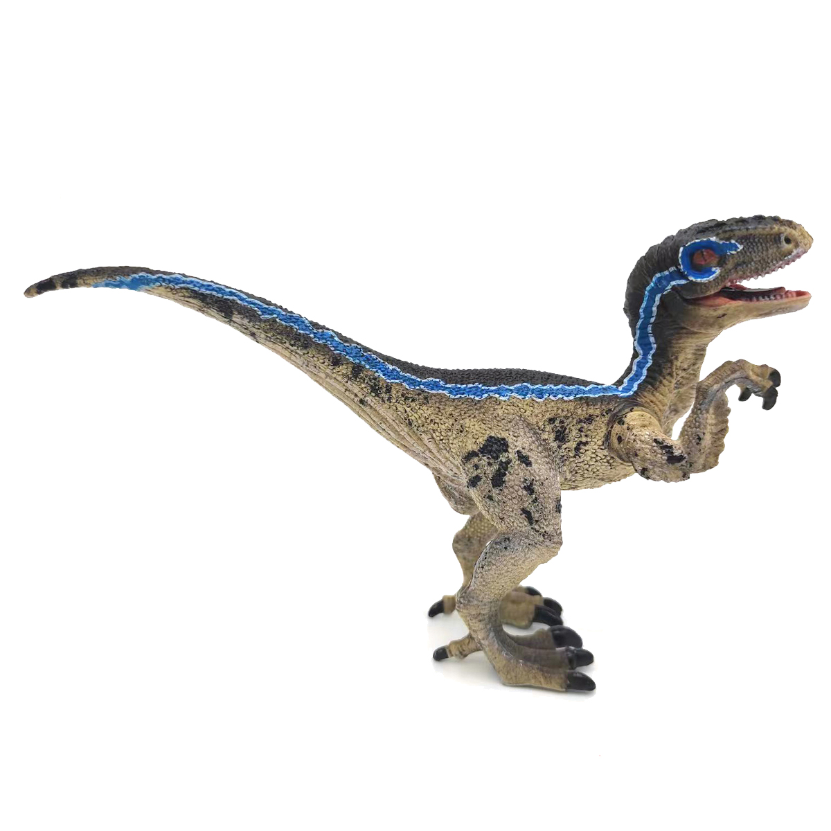 Velociraptor Blue