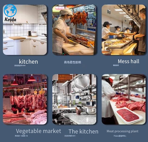 Koida Commerciële Elektrische Steak Bone Band Zaagsnijder Nieuwe Staat Machine Voor Meelmolen Bakkerij Kruiden Plant Boerderij Industrie - Product Image 5