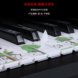 Piano Keyboard Sticker 88/61/49 <b>Key</b> Waterproof PVC Musical Note <b>Label</b> For Electronic Piano Roll Up Keyboard - Product Image 1