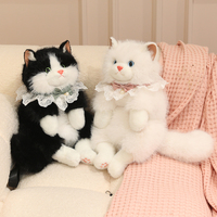 Tendance 2027 – Grands modèles 45cm 55cm – Chat en peluche Ragdoll en gros – Chatons en peluche en gros – Fabricant d'animaux en peluche personnalisés à partir d'une photo