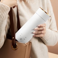 Bouilloire Électrique de Voyage Portable Mini Chauffe-Eau 4 Réglages de Température Acier Inoxydable 304 Capacité 320ml Maison et Voiture