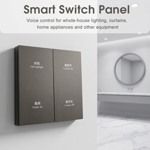 เซ็นเซอร์สัมผัส 6‑Gang Mesh Smart Wall Switch แผงควบคุมด้วยเสียง 220V 10A 800W สวิตช์อัตโนมัติอัจฉริยะในครัวเรือน - Product Image 4