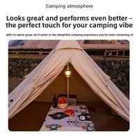 Nouvelle arrivée : lanterne de camping LED rechargeable par USB-C avec interrupteur rotatif – lampe rétro portable pour usage extérieur