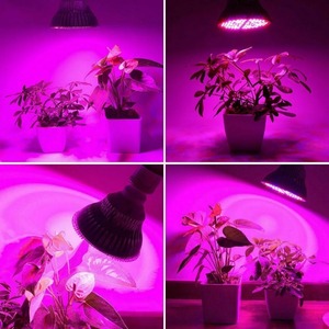 Lampe de culture à spectre complet 200 LED pour hydroponie, serre de culture intérieure, pour semis et plantes en floraison - Product Image 6