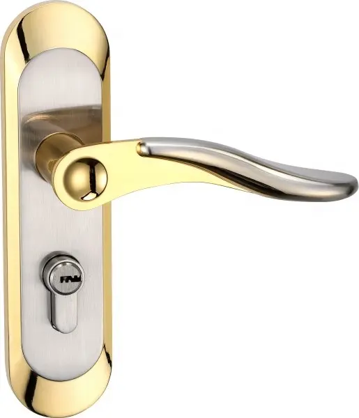 Fornitori di pannello porta serratura con chiave in acciaio cassa in acciaio da infilare piastra frontale porta lock set con maniglia a leva Serratura di Portello Dell'hotel