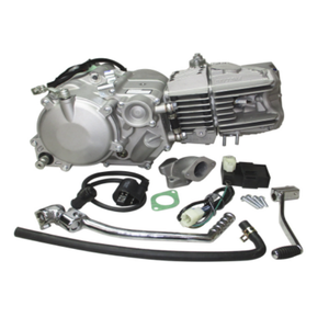 190cc Daytona 4-Valve Anima 190FSM Motor: 4-Valve 4 Stoke Monocilindro, montado horizontalmente - Product Image 2