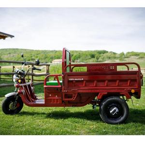 <span class=keywords><strong>Tuk</strong></span>-<span class=keywords><strong>tuk</strong></span> Électrique de Fret pour Adultes avec Certificat CE COC CEE, 1000W 60V 45Ah, Longue Portée, Matériau Acier, Idéal pour la Ferme - Product Image 2