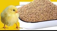 Machine à granulés d'alimentation animale pour poisson, mouton, vache, poulet, vente en gros