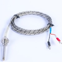 Sonde thermocouple de type N de précision, isolée minéralement, en acier inoxydable, étanche, à réponse rapide, avec câble de compensation d'extension