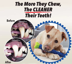 Fábrica transfronteiriça nova CHEWBRUSH cão Molares Pet Molares Brinquedos New Dog Toothbrush - Product Image 3