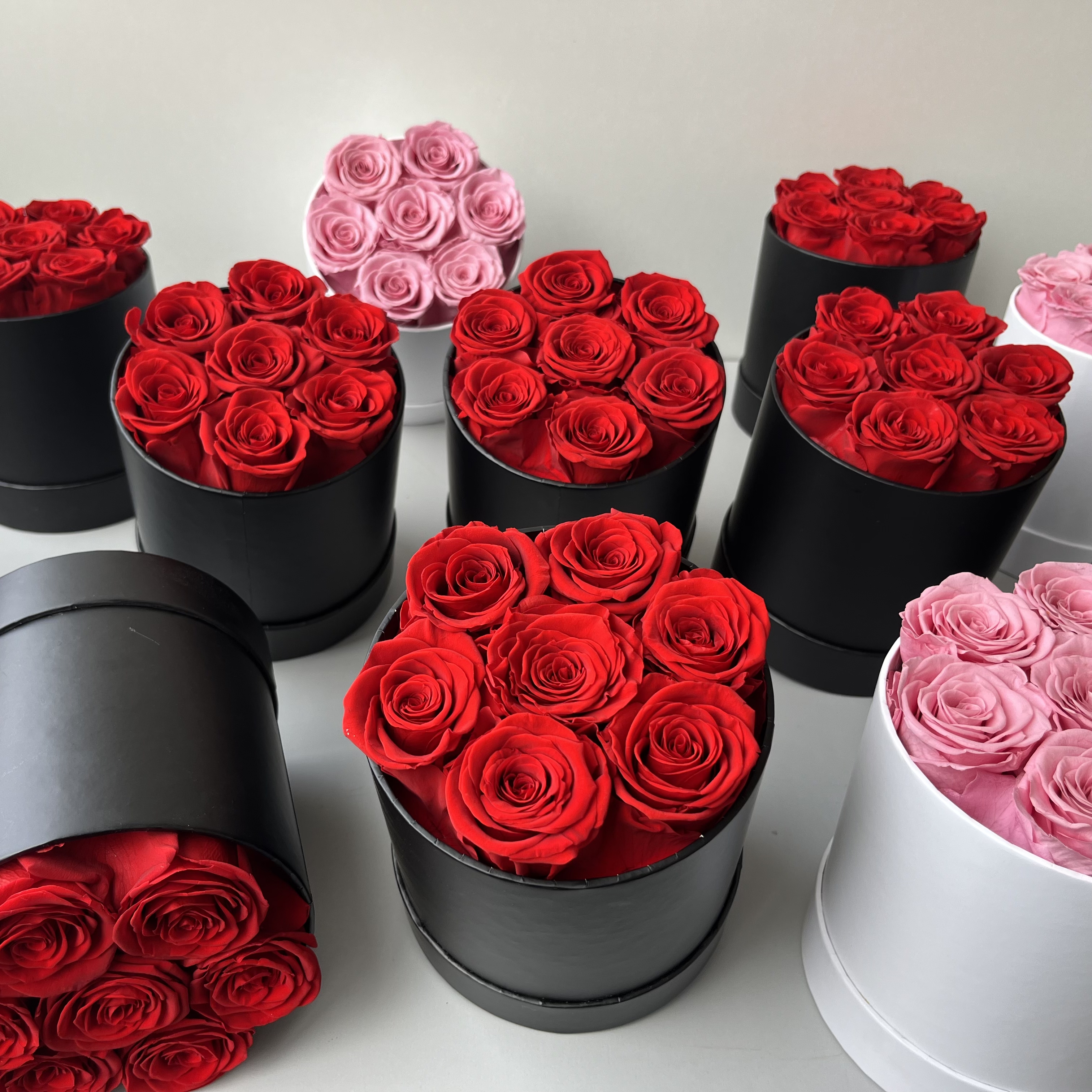 Rosse 7 Rose Rotonde