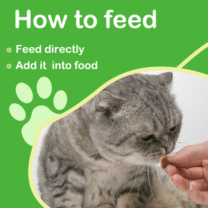 OEM ODM Masticables Blandos <span class=keywords><strong>de</strong></span> Lisina <span class=keywords><strong>de</strong></span> Rápida Absorción y Seguros para Reforzar el Sistema Inmunitario 250mg para Gatos y Perros, Alivio <span class=keywords><strong>de</strong></span> Alergias, <span class=keywords><strong>Estornudos</strong></span>, Nariz Escupitosa y Ojos Llorosos - Product Image 6