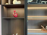 Éclairage LED personnalisé en profilé aluminium pour armoire, étagère, bibliothèque, vitrine, émission double face YBLCFG-25