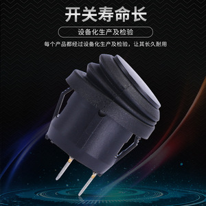 Interruptor Basculante RS-101-8C-WF 12V SPST Encendido/Apagado con Terminales de Soldadura IP65 de Plástico para Uso en Automóviles - Product Image 2