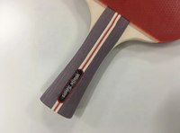 Custom ized Hot Sale 4 Spieler Profession elle Tischtennis schläger Pingpong Paddel Set mit 8 Bällen