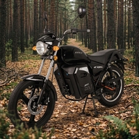 Moto électrique de loisirs et de divertissement de haute qualité, puissante, longue portée, batterie lithium 72V 45Ah, structure stable, 3000W