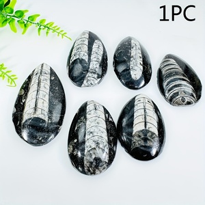 Piedra de Trilobita Artificial al por Mayor, Hermosos Patrones para Decoración de Habitaciones y Escritorios, Espécimen de Ciencia Geológica - Product Image 2