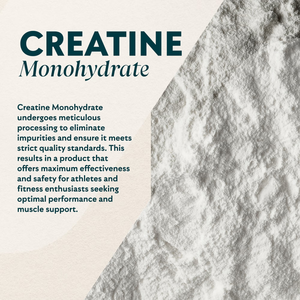 Creatina Monohidrato Pura OEM en Polvo - Soporte Avanzado para el Desarrollo Muscular y la Fuerza - Product Image 3