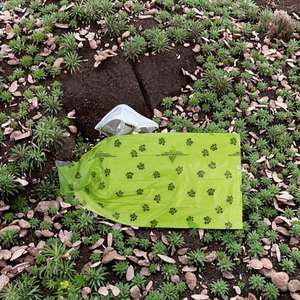 Échantillon Gratuit Personnalisable avec Logo Sacs à Crottes de Chien Épais Anti-Fuite Biodégradables en Matière EPI+PE Sans Parfum pour Usage Extérieur - Product Image 3