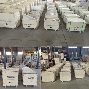 ALLMAN - Cabrestante <span class=keywords><strong>El</strong></span>éctrico Portátil de Motor Puro de 500kg-1000kg, 220V 50HZ 1P/3 Fases, con Embrague, para Mini Grúa de Exterior - Product Image 5