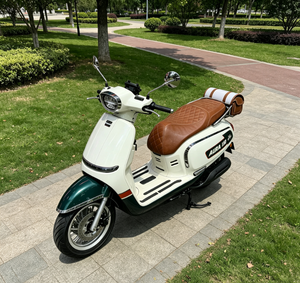 Acquista Sei e Ricevi Uno Gratis: Bicicletta Elettrica a Due Ruote OEM/ODM, Design da Corsa, Facile per Salite in Montagna, Batteria Rimovibile, Economica - Product Image 1