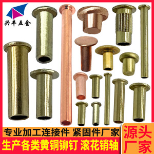 Rivets en laiton semi-creux 0,8-6,5 mm moletés nickelés, chromés, zingués, personnalisés pour usage industriel - Product Image 5