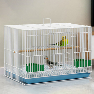Gabbia per pappagalli in ferro battuto Flight Bird gabbia per pappagalli piccola con Base in plastica con vassoio rimovibile - Product Image 6