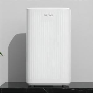 2023 Trending New Arrivals Customized Color 10l <b>Dehumidifier</b> Portable Smart Air Dryer Mini for Home Use - Product Image 1