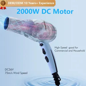 OEM/ODM Best Seller Hair Dryer 2000W For Sale Quick Dry With Nozzle Wholesale Origin Manufacturer Professional Level Blow Dryer