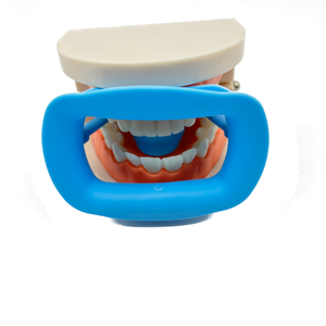 Écarteur de joue en silicone souple en forme de O pour blanchiment dentaire, <span class=keywords><strong>jeu</strong></span> de fête, support intra-oral réutilisable pour adultes - Product Image 6