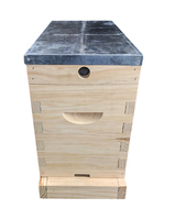 Kit de ruche à noyau apiculteur-ruche Nuc à 5 cadres-avec Base en maille