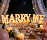 Nouveauté 2026 : Lumières LED 3D en forme de lettres, alimentées par piles, pour mariage, demande en mariage, fête, révélation du sexe du bébé