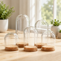 Cloche en verre soufflé à la main HR GLASS avec base en bois pour présentation de Noël, jouets, fleurs, desserts, bougies