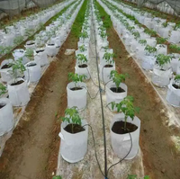 Kit d'irrigation goutte à goutte Dexin pour culture de myrtilles, en PVC/PE, à économie d'eau, conception incurvée, longue durée de vie, arrosage efficace