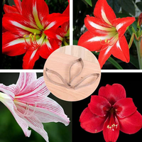 Lot de 3 moules à pétales de fleurs pour décoration de gâteaux, ensemble de découpoirs à fondant Barbadoslily