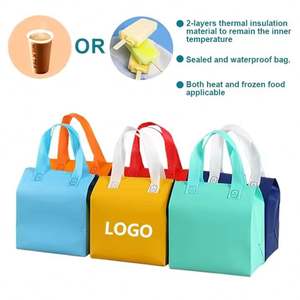 Bolsa Térmica Aislante Desechable al por Mayor, de Papel de Aluminio y Tela No Tejida, para Llevar Comida Rápida, Bebidas y Catering - Product Image 6