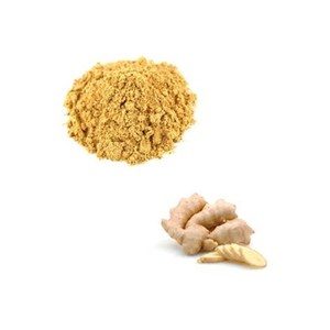 مسحوق خلاصة الزنجبيل عالي الجودة بمسحوق خلاصة جذور الزنجبيل - Product Image 6