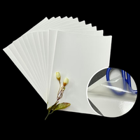 Papel Adhesivo Transparente Imprimible en Inyección de Tinta, Papel Adhesivo de Seguridad Destructible Tipo Cáscara de Huevo, Hojas de Papel Adhesivo Tipo Cáscara de Huevo A4 para Graffiti