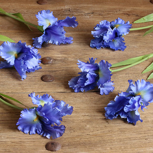 Zuoyi-Tela de seda artificial de 14cm de diámetro, flor de Orquídea y vainilla, flores de tacto real, <span class=keywords><strong>Iris</strong></span> para el hogar - Product Image 2