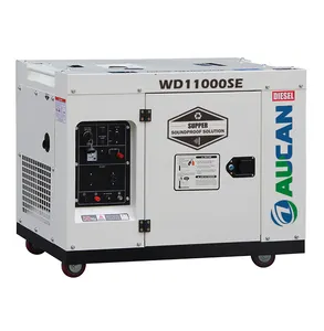 Generatore Diesel silenzioso raffreddato ad aria 3KW 4.5KW 5KW 5.5KW 6KW 6.5KW 7KW per CE commerciale domestico