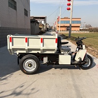 Minivolquete Triciclo de 2T Económico, Resistente y de Alta Capacidad con Motor y Rodamientos para Trabajos de Entrega de Cultivos Agrícolas en Filipinas, Motor Eléctrico
